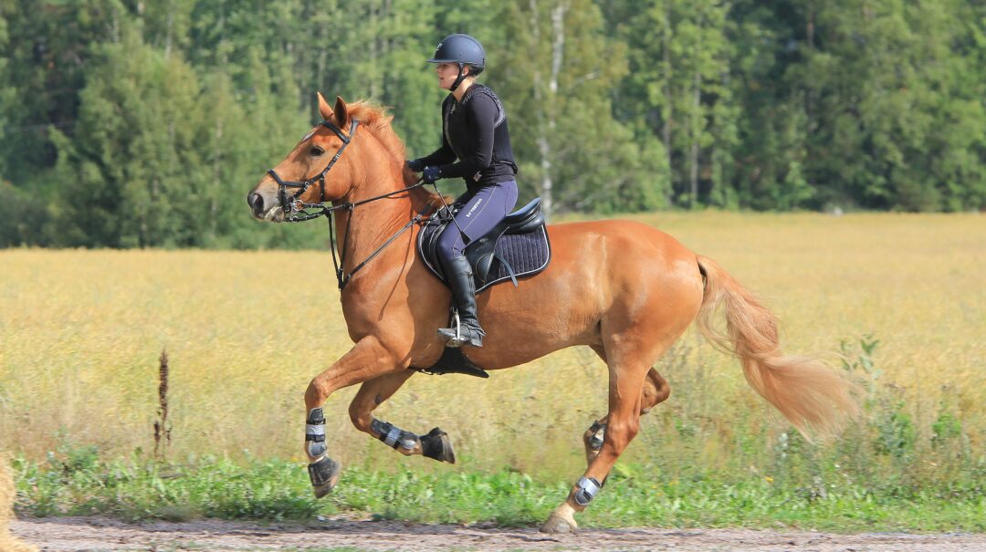 Unveiling The Benefits Of Cbd Horse Pellets: Revolutionizing Equine Health